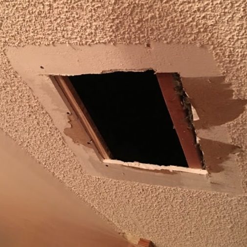 Vista California Drywall Ceiling Damage Repair